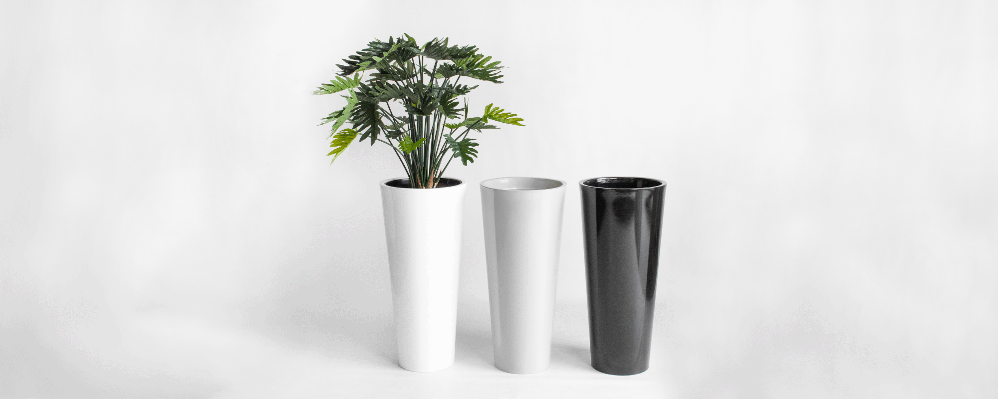 Choose your prefered pot.