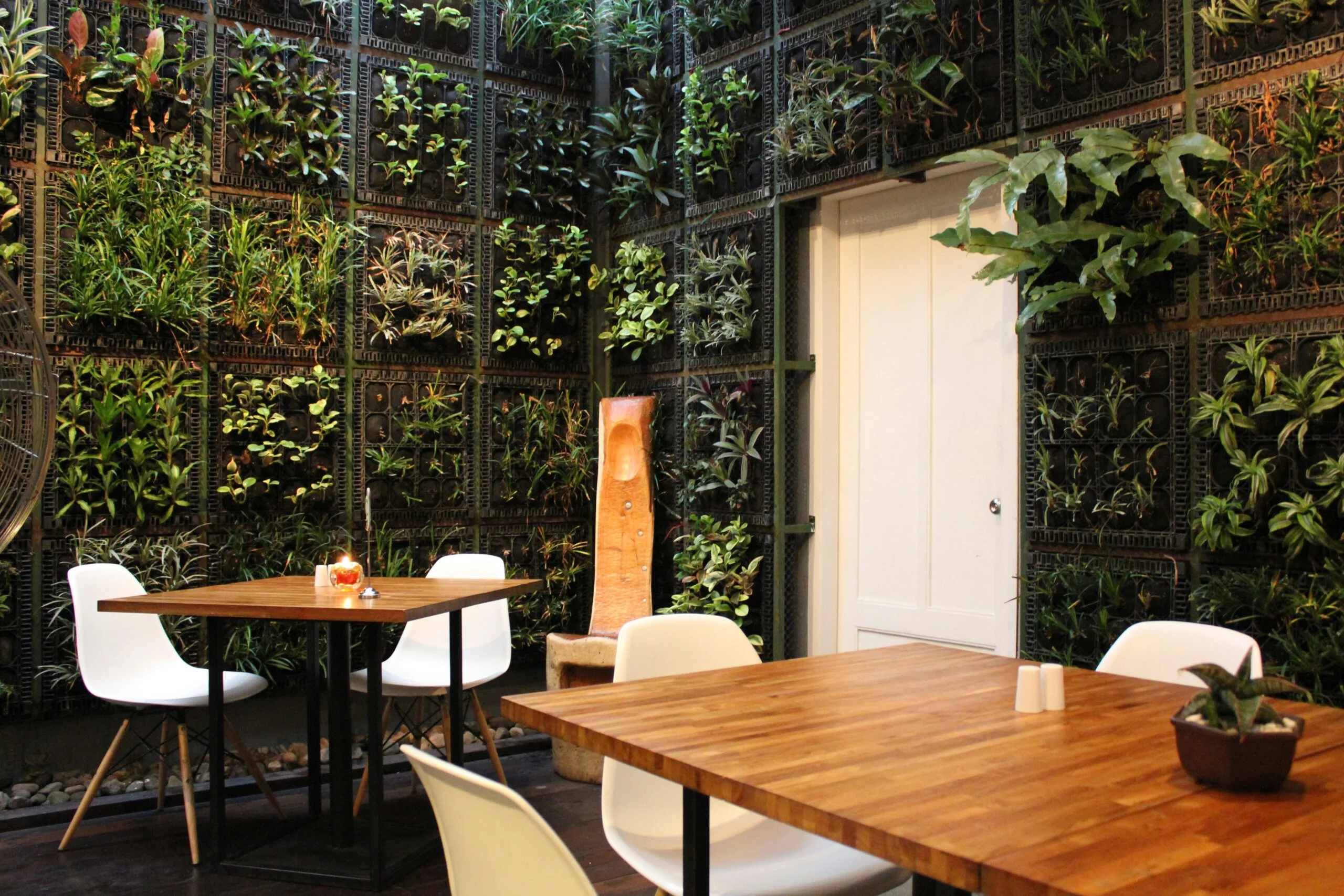 green walls in an indoor commercial cafe setting