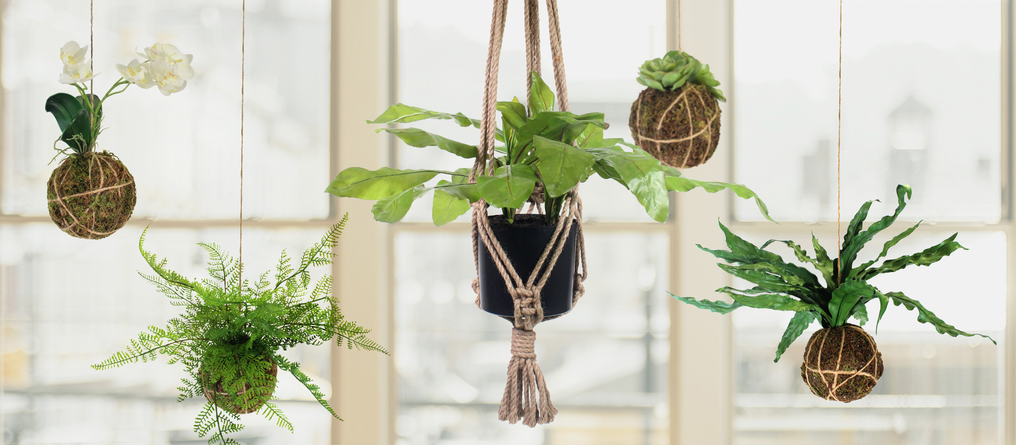 I revamped my porch to survive lockdown. I revamped my porch to survive lockdown.