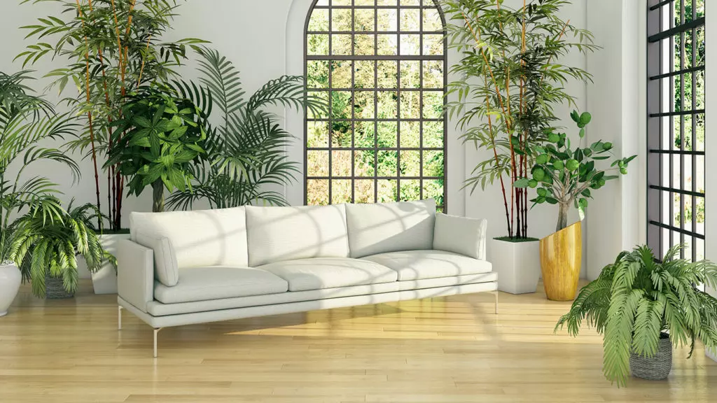 multiple artificial greenery plants and trees in a formal setting