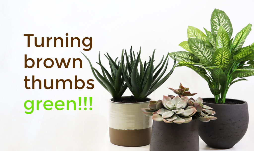 Turning brown thumbs green with artificial plants