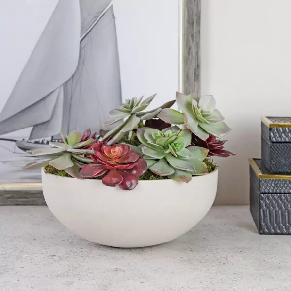 Mixed Succulent Rosettes in bowl