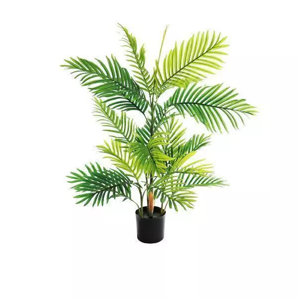 Areca Palm Tree – Medium Areca Palm Tree - Medium