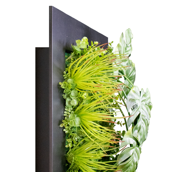 SBOX_MONST_RECT_SIDE