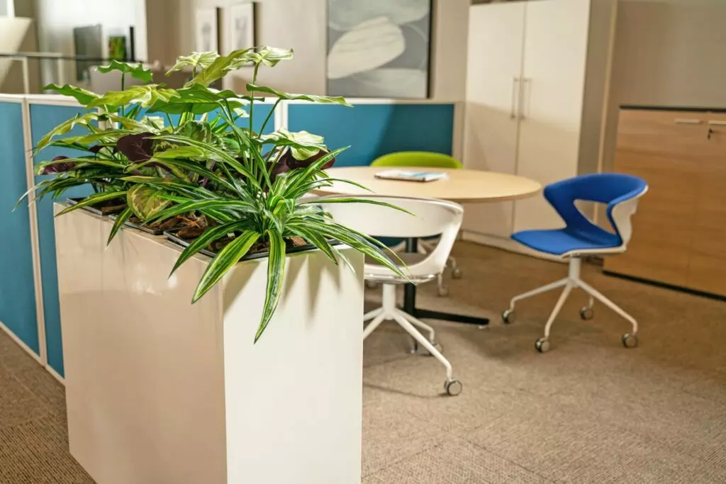 3 plant office planter in meeting room