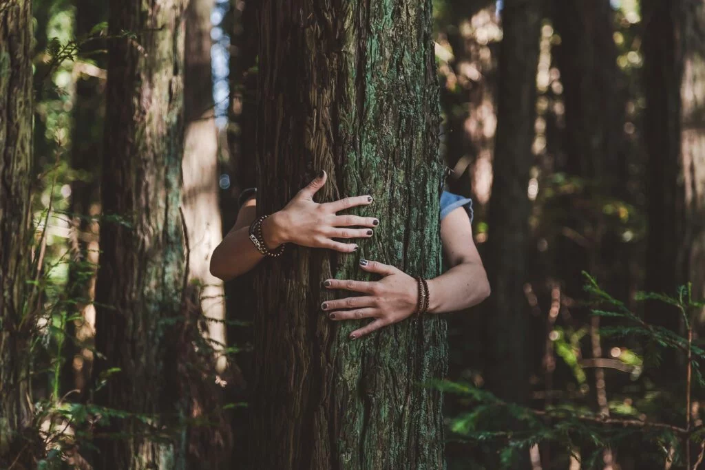 The bilophilic effect. When last did you hug a tree?