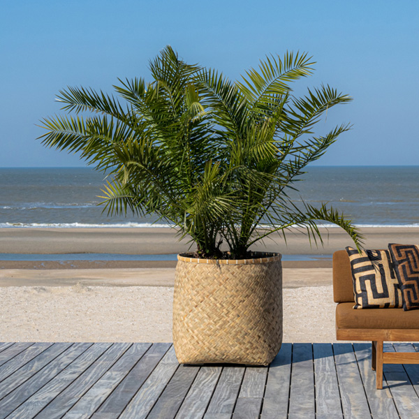 I revamped my porch to survive lockdown. I revamped my porch to survive lockdown.