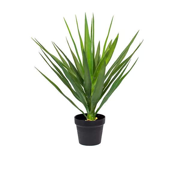 YUC_YUC27.5IN_P WEB YUC_YUC27.5IN_P