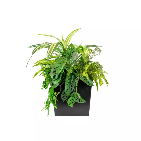 OP_MIXPLTS_29CM WEB OP_MIXPLTS_29CM WEB