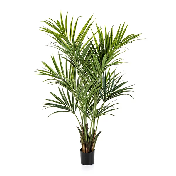 PLM-KENT180CM-Kentia Palm-main 180cm Kentia Palm - artificial silk tree