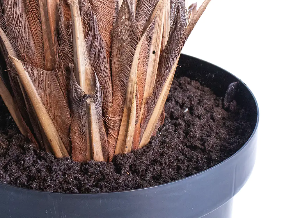Artificial Palm Tree set in fake soil